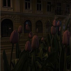 Meet your Posher, Allison